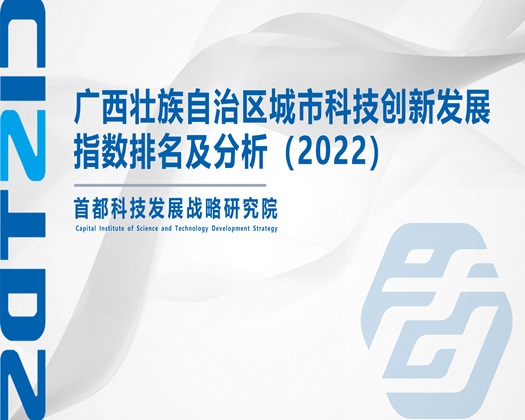 逼里逼在线观看【成果发布】广西壮族自治区城市科技创新发展指数排名及分析（2022）